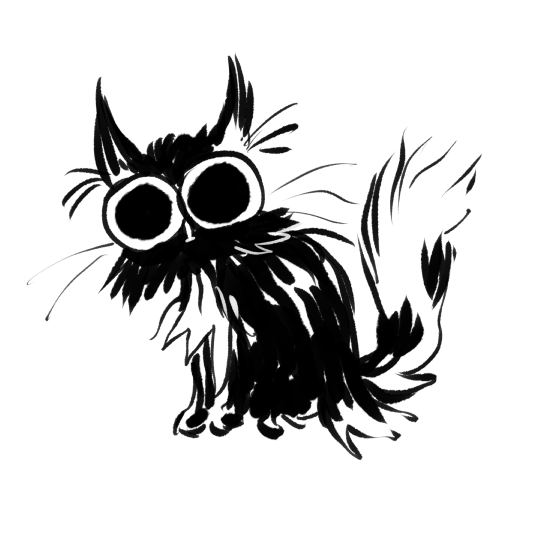 image of a very eyeball-having cat.